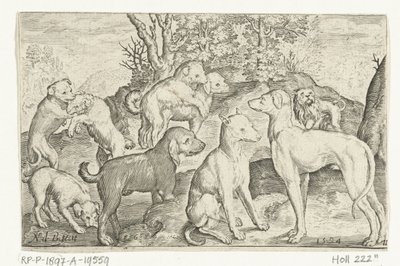 Nueve perros Animalivm qvadrvpedvm (título de la serie) Animales en paisajes (título de la serie) de Nicolaes de Bruyn