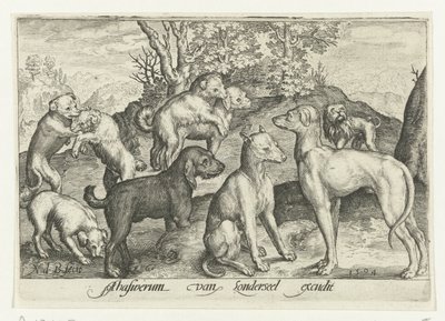 Nueve perros Animalivm qvadrvpedvm (título de la serie) Animales en paisajes (título de la serie) de Nicolaes de Bruyn