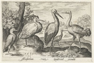 Cigüeña, grulla, garza y ​​espátula Pájaros e insectos (título de la serie) de Nicolaes de Bruyn