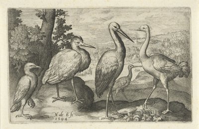 Cigüeña, grulla, garza y ​​espátula Pájaros e insectos (título de la serie) de Nicolaes de Bruyn