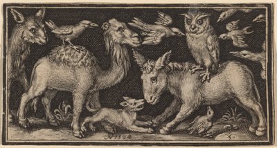 Búho en la espalda de un burro, pájaro en la espalda de un camello con otros animales de Nicolaes de Bruyn