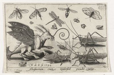 Saltamontes y criatura de fantasía con alas y patas palmeadas. Pájaros e insectos (título de la serie) de Nicolaes de Bruyn