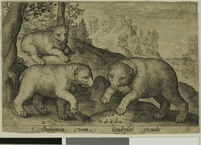 Tres Osos, lámina diez de Animales de Cuatro Patas de Nicolaes de Bruyn