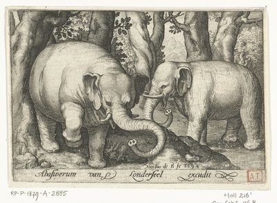 dos elefantes Animalivm qvadrvpedvm (título de la serie) Animales en paisajes (título de la serie) de Nicolaes de Bruyn