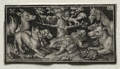 Rana de dos cabezas rodeada de animales de Nicolaes de Bruyn