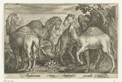 cuatro dromedarios Animalivm qvadrvpedvm (título de la serie) Animales en paisajes (título de la serie) de Nicolaes de Bruyn