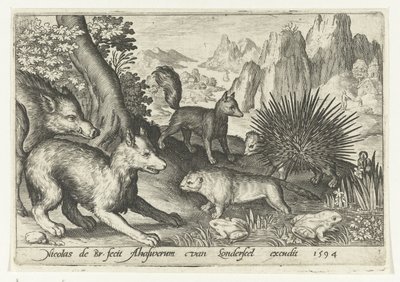 Jabalíes, zorros, castores, puercoespines y ranas Animalivm qvadrvpedvm (título de la serie) Animales en paisajes (título de la serie) de Nicolaes de Bruyn