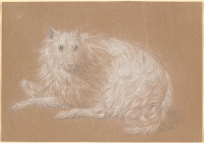Un perro de pelo largo acostado de Nicolai Abildgaard