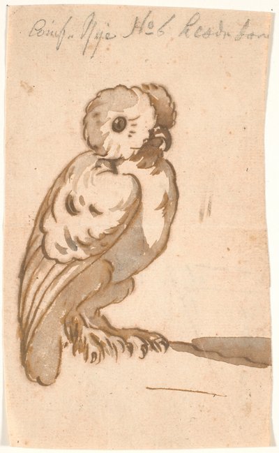 Un búho de Nicolai Abildgaard