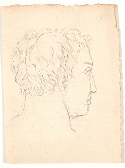 Una cabeza de un hombre vista desde atrás de Nicolai Abildgaard