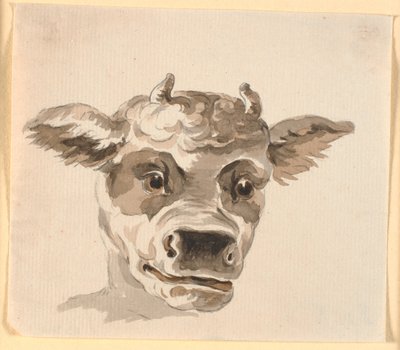 Cabeza de Minotauro de Nicolai Abildgaard