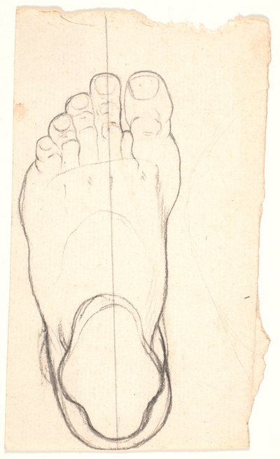 Boceto de un pie visto desde arriba. Talón a la izquierda. de Nicolai Abildgaard