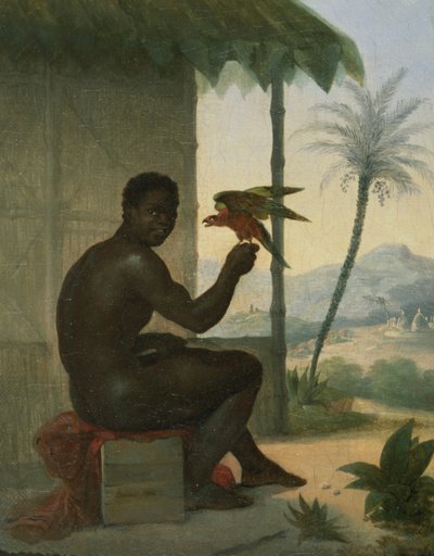Negro brasileño con ave tropical de Nicolas Antoine Taunay