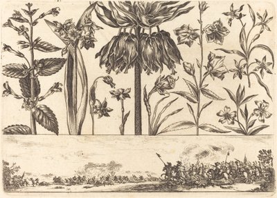 Impresión de flores n.º 10 de Nicolas Cochin after Balthasar Moncornet