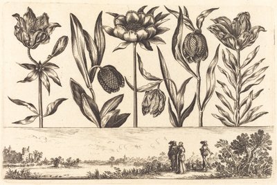 Impresión de flores n.º 11 de Nicolas Cochin after Balthasar Moncornet