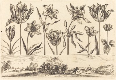 Impresión de flores n.º 2 de Nicolas Cochin after Balthasar Moncornet