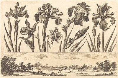 Impresión de flores n.º 3 de Nicolas Cochin after Balthasar Moncornet
