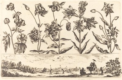 Impresión de flores n.º 6 de Nicolas Cochin after Balthasar Moncornet