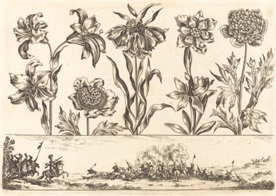 Impresión de Flores n.º 8 de Nicolas Cochin after Balthasar Moncornet