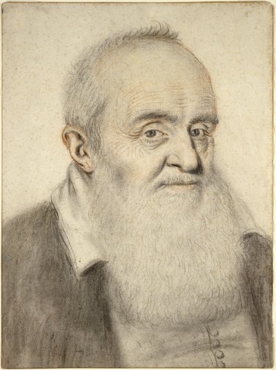 Cabeza de un Hombre con Barba de Nicolas Lagneau or Lanneau