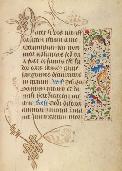 Página de texto decorada de Nicolas Spierinc
