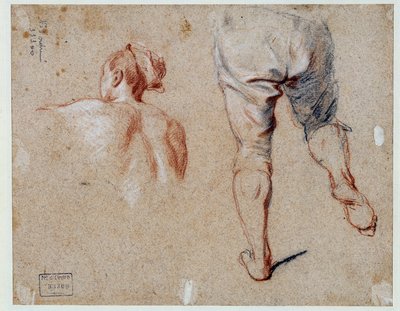 Estudio de anatomía de Nicolas Vleughels