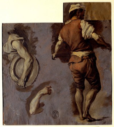 Estudio de anatomía, movimientos del brazo y espalda de Nicolas Vleughels