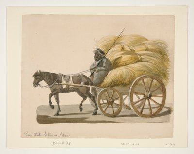 El viejo hombre de paja de Nicolino Calyo