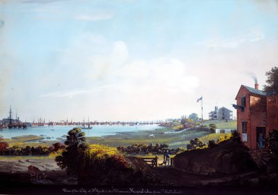 Vista de la ciudad de Nueva York y el hospital marino tomado desde Wallabout de Nicolino Calyo
