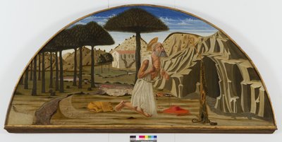 San Jerónimo en el desierto de Nicolo di Maestro Antonio dAncona