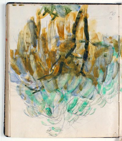 Estudio de matorrales de Niels Larsen Stevns