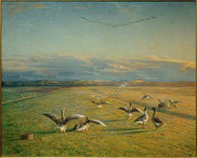 Migración de otoño. Gansos salvajes y domésticos de Niels Pedersen Mols