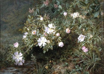 Un estudio de rosas silvestres, c.1900 de Niels Pieter Rasmussen