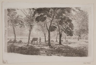 La avenida de Niels Skovgaard