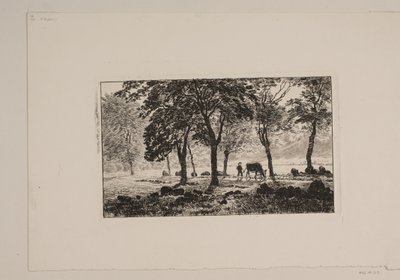 Alameda de Niels Skovgaard