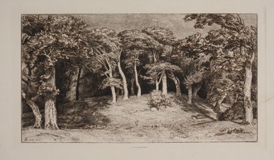 Hestehaven de Niels Skovgaard