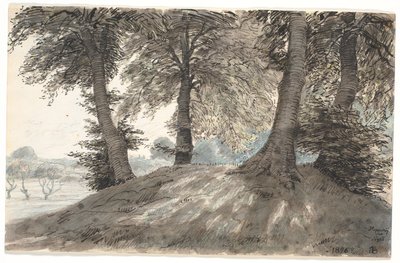 "Hoppehøj en Nysø" de Niels Skovgaard