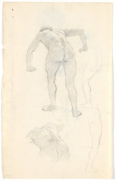 Estudio de modelo de Niels Skovgaard