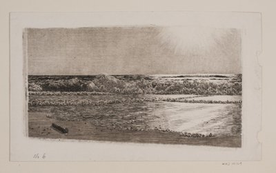 El Mar del Oeste de Niels Skovgaard