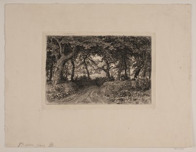 Carro en el camino del bosque de Niels Skovgaard