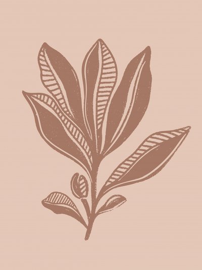Dibujo botánico natural de Nikita Jariwala
