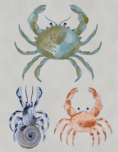 Acuarela de cangrejos marinos de Nikita Jariwala