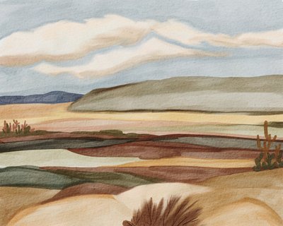 Panorama del desierto del suroeste de Nikita Jariwala