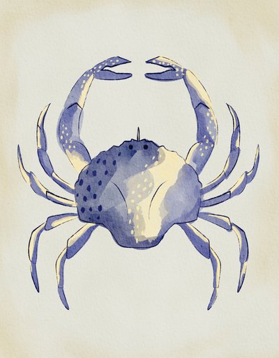 Cangrejo azul en acuarela de Nikita Jariwala