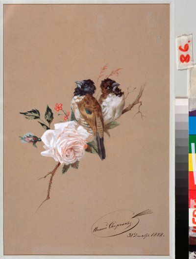 Dos pájaros sobre una rosa - Obra de Nikolai Yegorovich Sverchkov (Nicolas Swertschkoff) (1817-1898), acuarela y tinta sobre papel de Nikolai Egorevich Sverchkov