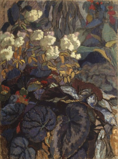 Flores de Nikolai Semyonovich Zaytsev