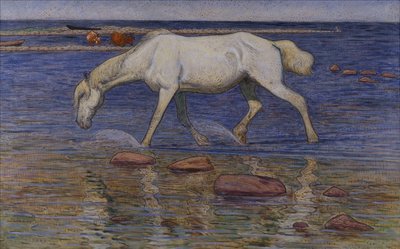 En suelo pedregoso de Nils Kreuger