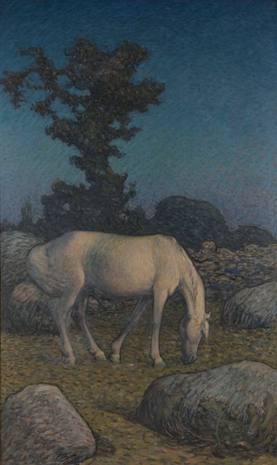 Caballo blanco al atardecer de Nils Kreuger