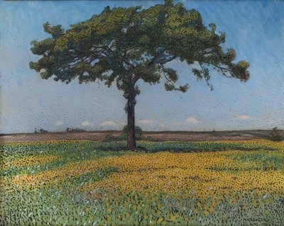 Roble joven de Nils Kreuger