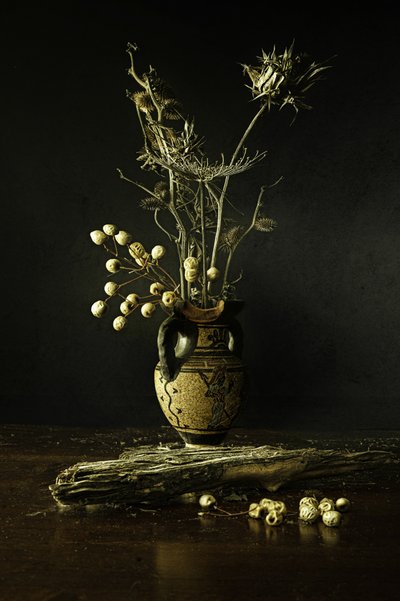  de Noam Mymon